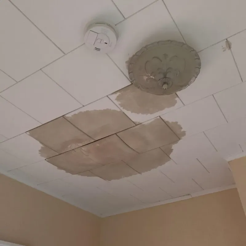 Ceiling Water Damage Repair in Fleetwood, PA