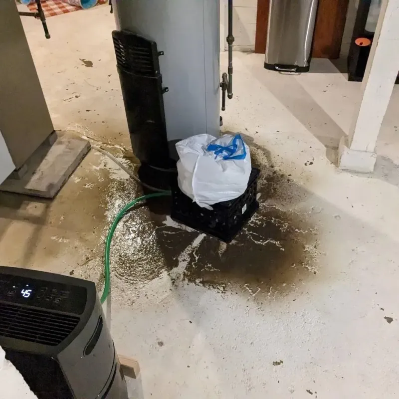 Sewage Backup Cleanup Service in Fleetwood, PA